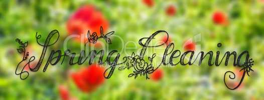 Sunny Poppy Flower, Spring, Calligraphy Spring Cleaning