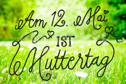 Spring Meadow, Daisy, Calligraphy Muttertag Means Happy Mothers Day