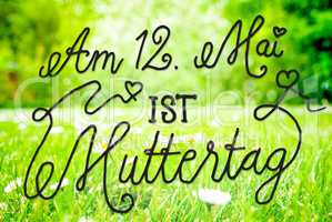 Spring Meadow, Daisy, Calligraphy Muttertag Means Happy Mothers Day