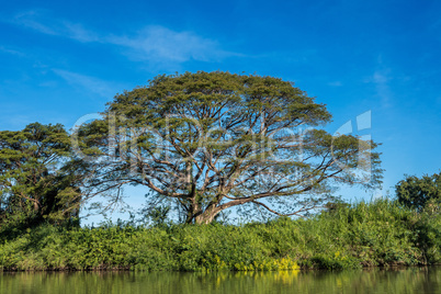 4000 Islands zone in Nakasong over the Mekong river in Laos