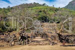 Plumeria flower trees at the ruins of the Vat Phou Khmer temple, Laos