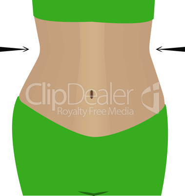 Slimmimg female belly vector illustration