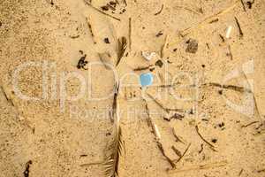 plastic waste on a beach, blue lid