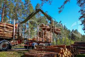 Crane loading logs in the truck.