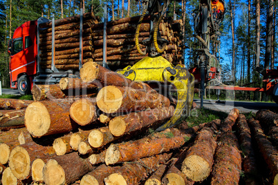 Crane loading logs in the truck.