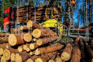 Crane loading logs in the truck.