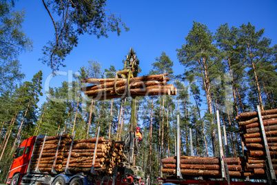 Crane loading logs in the truck.