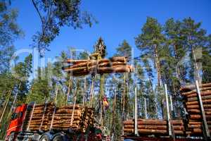 Crane loading logs in the truck.