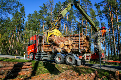 Crane loading logs in the truck.