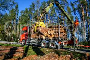 Crane loading logs in the truck.