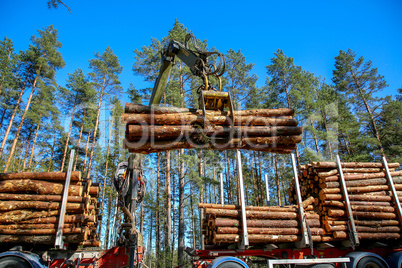 Crane loading logs in the truck.