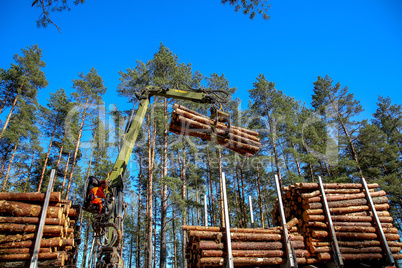 Crane loading logs in the truck.