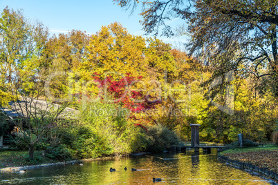 autumn view in The English Garden, Munich, Germany.