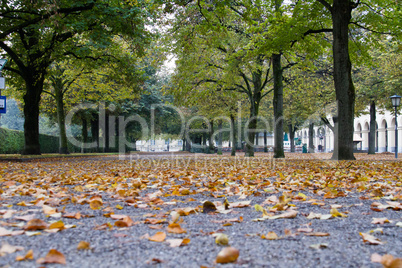 walking in Hofgarten Park in Munich on a autumn day, Germany
