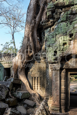 The ancient temple of Ta Prohm , Angkor , Cambodia