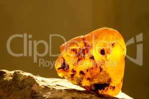 Amber in sun with inclusions