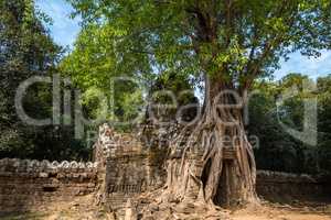 Ta Som temple in Angkor Wat complex, Cambodia, Asia