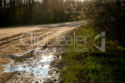 Puddles on the country road in Latvia.