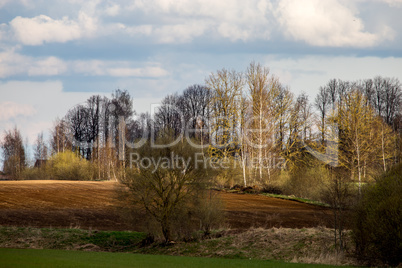 Landscape with plowed field, trees and blue sky