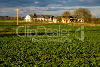 Landscape with cereal field, old farm house and blue sky.