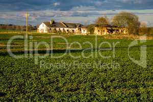 Landscape with cereal field, old farm house and blue sky.