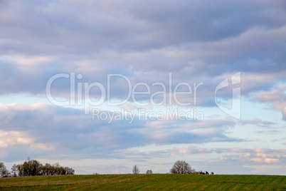 Landscape with cereal field and blue sky