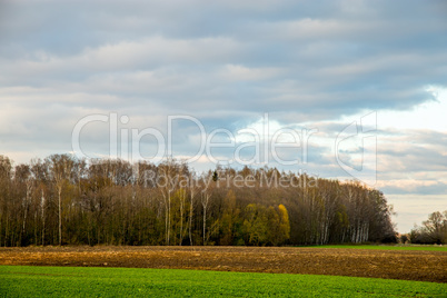 Landscape with plowed field, trees and blue sky