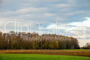 Landscape with plowed field, trees and blue sky