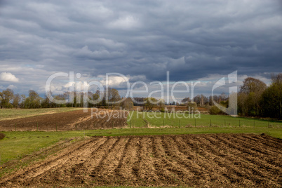 Landscape with plowed field, trees and blue sky.