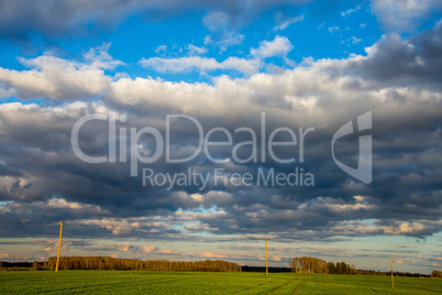 Landscape with blue cloudy sky, cereal field and trees.