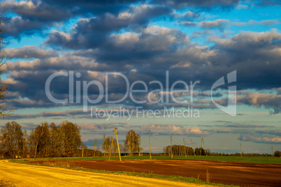 Landscape with blue cloudy sky, cereal field and trees.