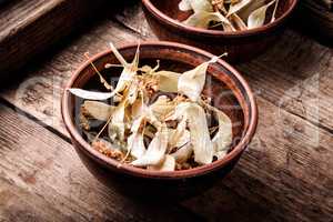 Herbs on wooden background