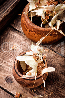 Dried linden flowers