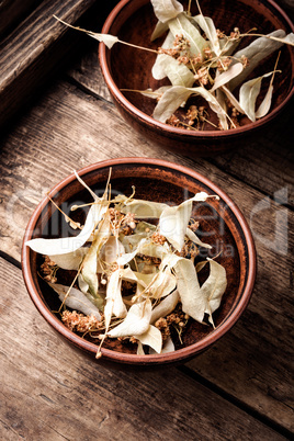 Herbs on wooden background