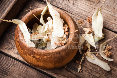 Herbs on wooden background