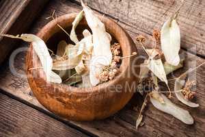 Herbs on wooden background