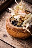 Herbs on wooden background