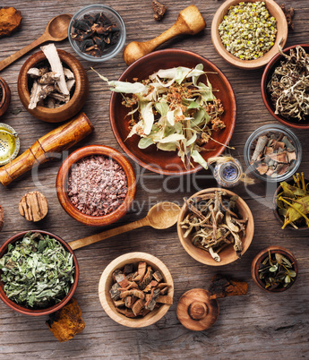 Healing roots and herbs