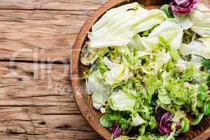 Fresh vegetable salad