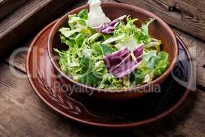 Fresh vegetable salad