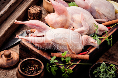 Fresh raw meat quails