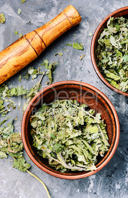 Healing dry foliage coltsfoot