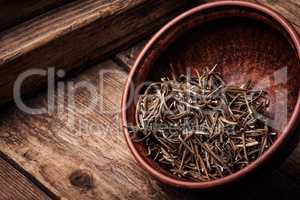 Rosemary spice herb