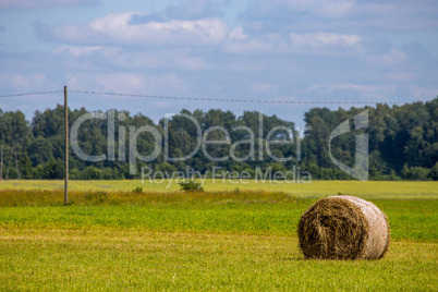 Hay bale in the meadow.