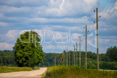 Landscape with empty rural road.