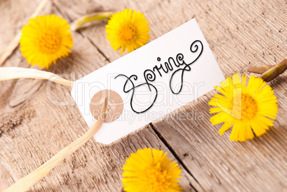 White Label, Dandelion, Calligraphy Spring, Wooden Background