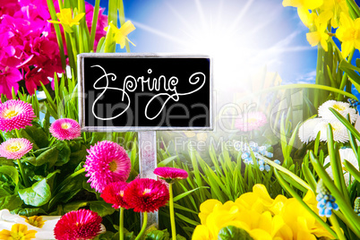 Sunny Spring Flower Meadow, Beautiful Calligraphy Spring