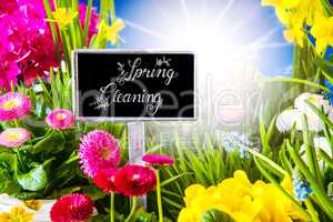 Sunny Spring Flower Meadow, Calligraphy Spring Cleaning