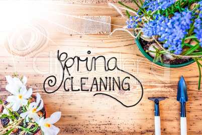 Sunny Spring Flowers, Calligraphy Spring Cleaning, Wooden Background