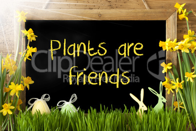 Sunny Narcissus, Easter Egg, Bunny, Text Plants Are Friends